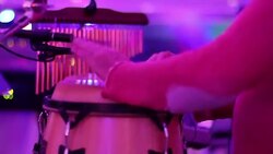 Congas Stock Footage