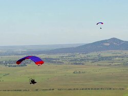WS AERIAL View of paragliding over field / Werribee, Victoria, Australia Stock Footage