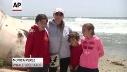 Dead Whale Draws Spectators on Calif. Beach Instructional Video