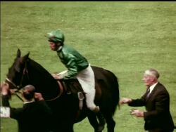 ROYAL ASCOT- COLOUR News Clip