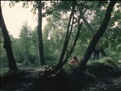 Hippies at the 'Celebration of Life' Festival Stock Footage