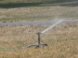 Sprinkler 2 - HD 1080/60i Stock Footage