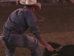 A cowboy with a lariat busts out the chute, ropes a steer, wraps it's legs - shot in slow motion. Stock Footage