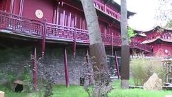 VOICED : Dos pandas gigantes inician su nueva vida en Paises Bajos News Clip