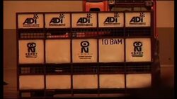 Rescued lions from Bolivia arrive in US News Clip