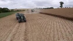 Combine Harvesting Rapeseed, Aerial View Stock Footage