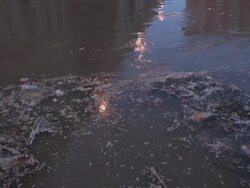 Water pollution: disastrous conditions of a river Stock Footage