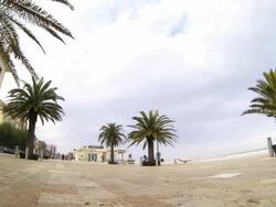 Skateboarder trick on public park Stock Footage