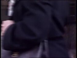 USA: ANIMAL RIGHTS CAMPAIGNERS AT THANKSGIVING STORE SALES News Clip