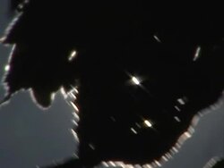 Sun and leaf Stock Footage