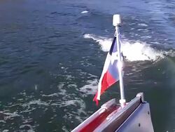 Texas Boating Stock Footage