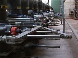 How pig power is helping generate electricity News Clip