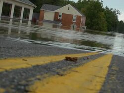 Double Yellow Line leading Into Flood Stock Footage