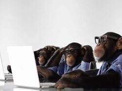 Busy Team Monkey Stock Footage