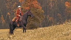 DS Female rancher riding her horse up the hill Stock Footage
