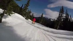 Follow cam footage of a skier Stock Footage
