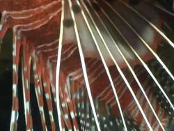 CU Shot of Broad barred fire fish hiding or drifting in crevice covering with coral and sponges / Matola, Maputo, Mozambique Stock Footage