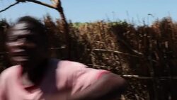 VOICED : Musica para dejar de vender ratones News Clip