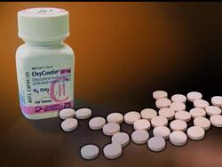 The maker of the powerful painkiller OxyContin and three of its current and former executives pleaded guilty Thursday to misleading the public News Clip