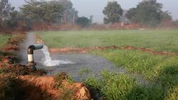 Irrigation pipe with flowing water Stock Footage