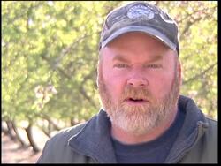 Californian beekeepers complain of theft News Clip