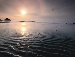 MS POV Shot of Man riding mountain bike on beach at sunset / Port Orford, Oregon, United States  Stock Footage