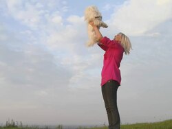 HD: Woman Playing With Her Dog Stock Footage