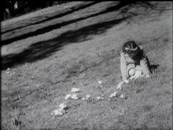 SPRING IN FEBRUARY News Clip