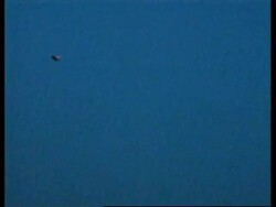 AVIANO: NATO PLANES UPDATE News Clip