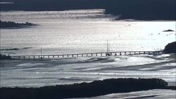 Bridge to Cousins Island - Aerial View - Maine,  Cumberland County,  United States Stock Footage
