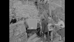 CAN951RSPCA TREATING BIRDS AFFECTED BY OIL SPILL Instructional Video