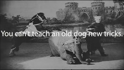 Contradictory Proverbs (subtitles) Instructional Video