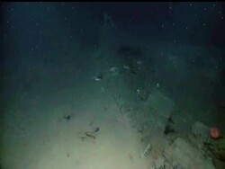 Rum bottles, cannons, muskets and silverware are among the artifacts a team of scientists found when inspecting the Gulf of Mexico bottom in little-charted waters. Scientists say the site is one of the most well-preserved shipwrecks ever discovered in the Gulf. News Clip