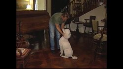 Actor John Schneider released from jail in alimony dispute Instructional Video