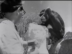 NATURAL HISTORY NEWS News Clip