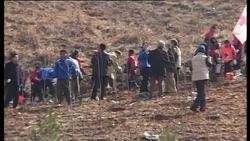 Planting trees to help prevent natural disasters News Clip
