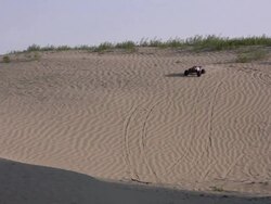 Racing car on the desert. Stock Footage