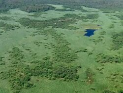 AERIAL Vew of land near of Tempisque river / Palo Verde, Guanacaste, Costa Rica Stock Footage