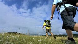Family Hiking Stock Footage