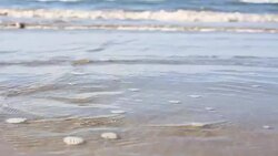 HD dolly:Environmental Pollution. Stock Footage