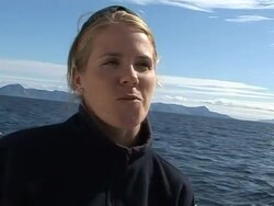 Whale watching in Norway News Clip