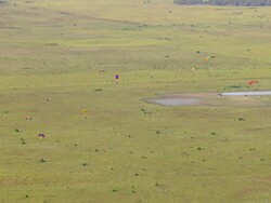 WS AERIAL View of Para gliding / Melbourne, Victoria, Australia Stock Footage