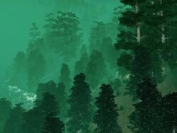 Chinese vegetation Stock Footage