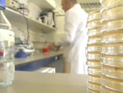 Scientist in drug testing laboratory News Clip