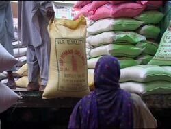 AP focus on how economic meltdown is hitting most vunerable in Pakistan News Clip