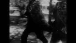 CAN839 SCENES FROM NORTH VIETNAM DURING WAR Instructional Video