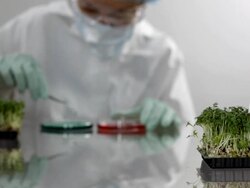 in the laboratory Stock Footage