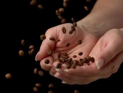 HD Super Slow-Mo: Catching Coffee Beans Stock Footage