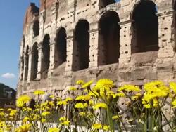 Coliseum at summer in Rome Stock Footage