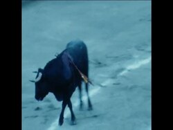 GS 17 2 82 WORLDS TOP BULLFIGHTERS PERFORM IN CARACUS Instructional Video